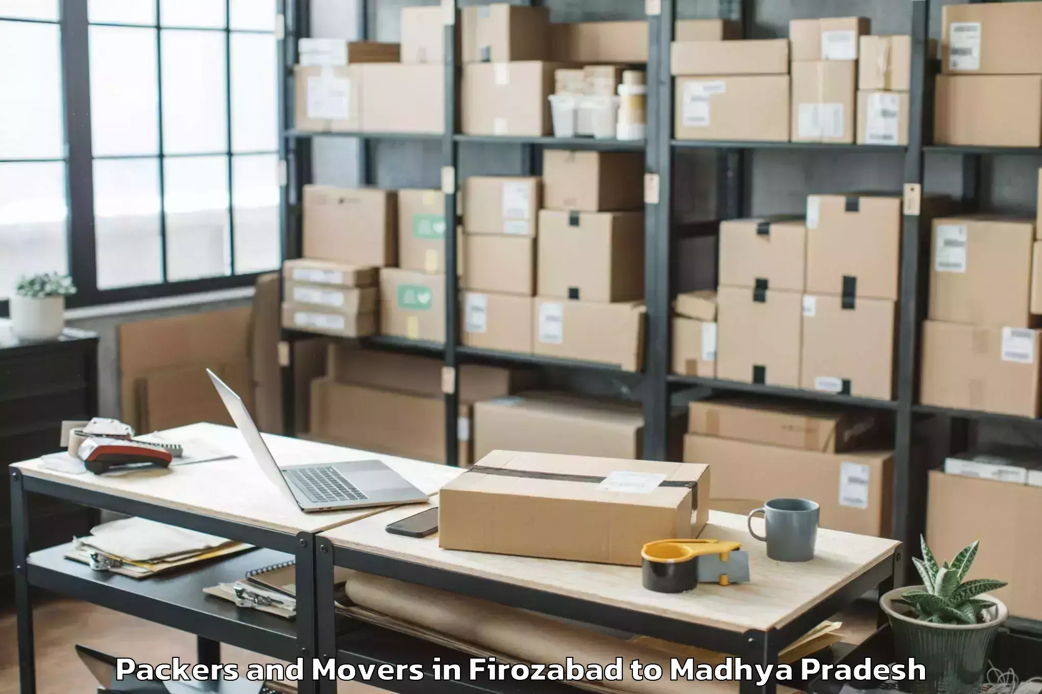 Professional Firozabad to Itarsi Packers And Movers